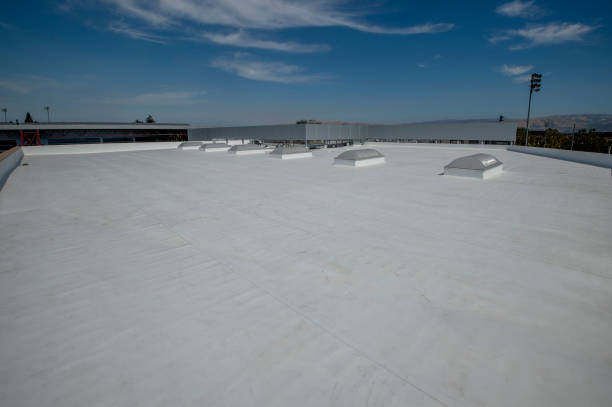Best Gutter Installation and Repair  in Catawissa, PA